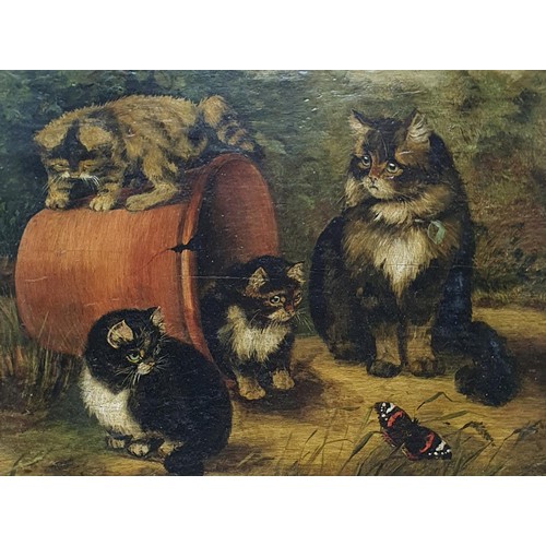 380 - English school, study of a cat with three kittens, oil on board, 27 x 35 cm