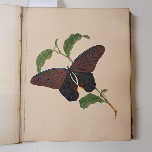 426 - An early 19th century scrapbook, with various watercolour, pencil drawing and other illustrations