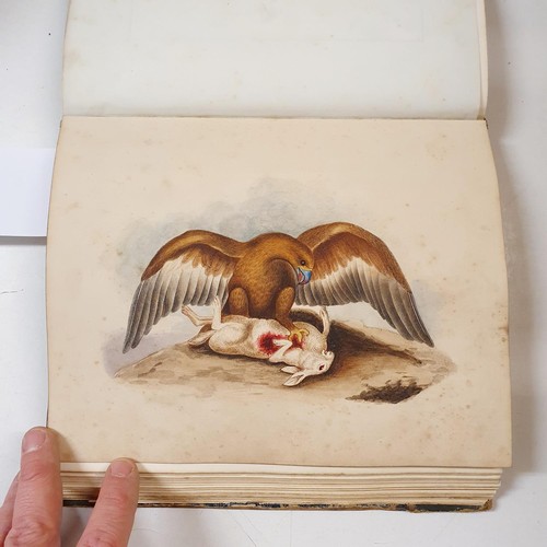 426 - An early 19th century scrapbook, with various watercolour, pencil drawing and other illustrations