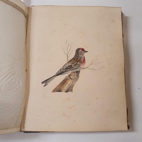 426 - An early 19th century scrapbook, with various watercolour, pencil drawing and other illustrations