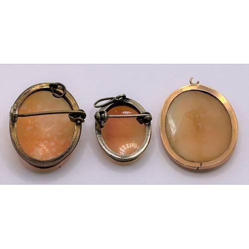 174 - A cameo, in a yellow metal mount, 30 x 22 mm, and two others (3)