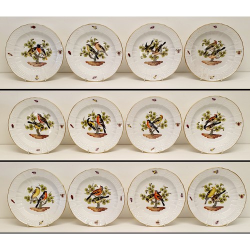 500 - An extensive Meissen Augustus Rex Ornithological dinner service, decorated exotic birds, insects and... 