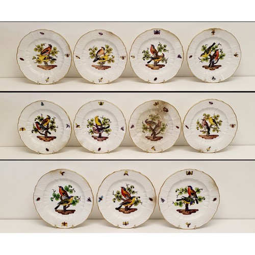 500 - An extensive Meissen Augustus Rex Ornithological dinner service, decorated exotic birds, insects and... 