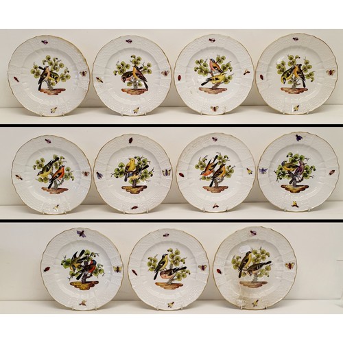 500 - An extensive Meissen Augustus Rex Ornithological dinner service, decorated exotic birds, insects and... 