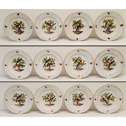 500 - An extensive Meissen Augustus Rex Ornithological dinner service, decorated exotic birds, insects and... 