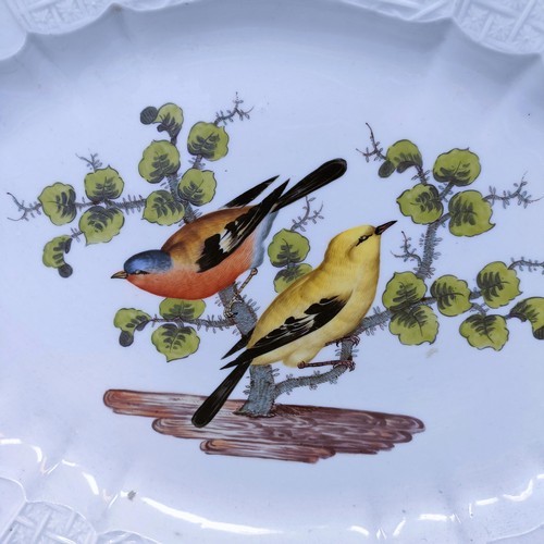 500 - An extensive Meissen Augustus Rex Ornithological dinner service, decorated exotic birds, insects and... 