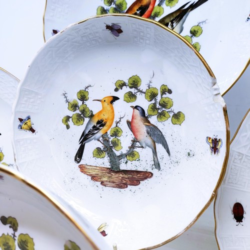 500 - An extensive Meissen Augustus Rex Ornithological dinner service, decorated exotic birds, insects and... 