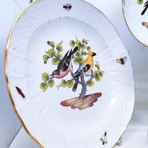 500 - An extensive Meissen Augustus Rex Ornithological dinner service, decorated exotic birds, insects and... 