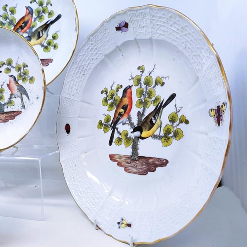 500 - An extensive Meissen Augustus Rex Ornithological dinner service, decorated exotic birds, insects and... 