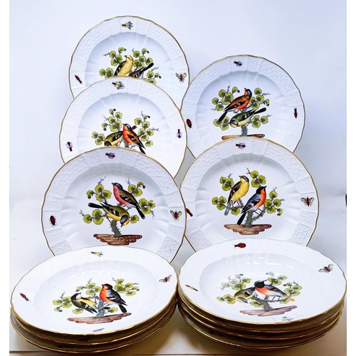 500 - An extensive Meissen Augustus Rex Ornithological dinner service, decorated exotic birds, insects and... 