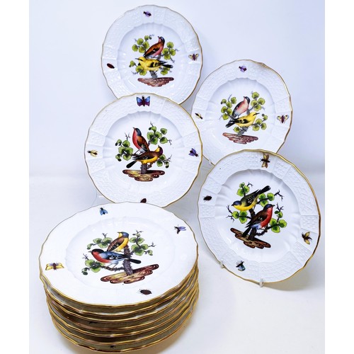 500 - An extensive Meissen Augustus Rex Ornithological dinner service, decorated exotic birds, insects and... 