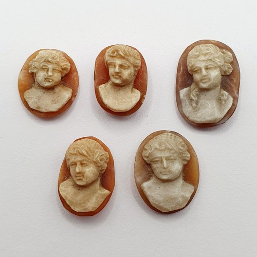 163 - A cameo, decorated classical portrait, 12 x 10 mm, and four others (5)

Provenance: From a local dec... 