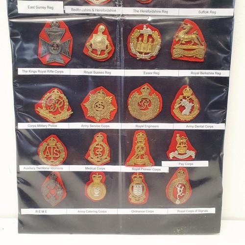 182 - Assorted military badges