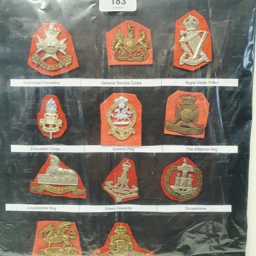 183 - Assorted military badges