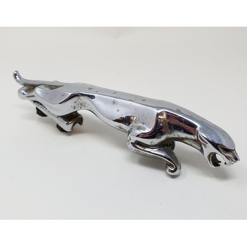 121 - A Jaguar chrome leaping cat mascot