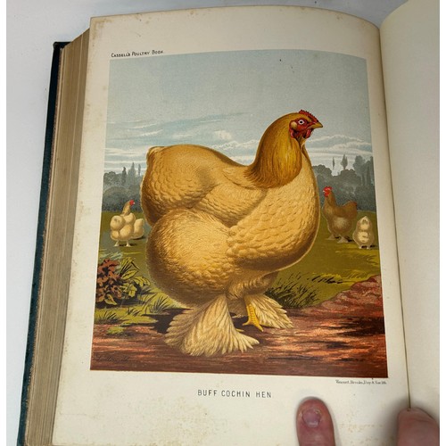 571 - Wright (Lewis), The Illustrated Book Of Poultry, published Cassell & Company, 1900, ex-Library copy