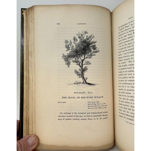 572 - Selby (John), A History Of British Forest Trees, published John Van Vorst, 1842, leather bound