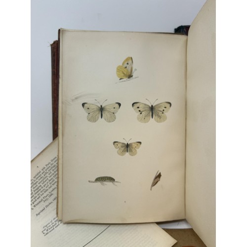 577 - Morris (Rev F O), A History Of British Butterflies, Michelet (Jules), The Insect, Queen Victoria's D... 