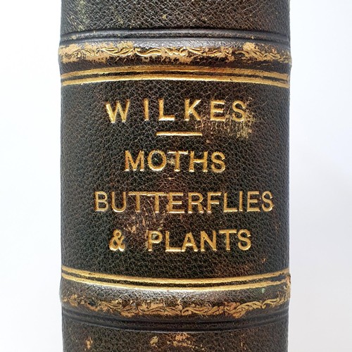 607 - Wilkes (Benjamin), English Moths And Butterflies, 120 coloured plates, leather and cloth bound