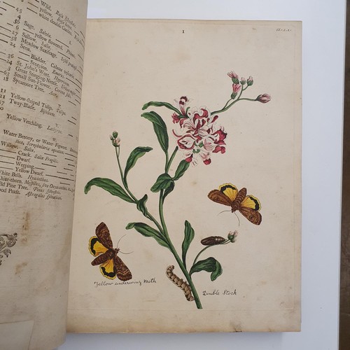 607 - Wilkes (Benjamin), English Moths And Butterflies, 120 coloured plates, leather and cloth bound