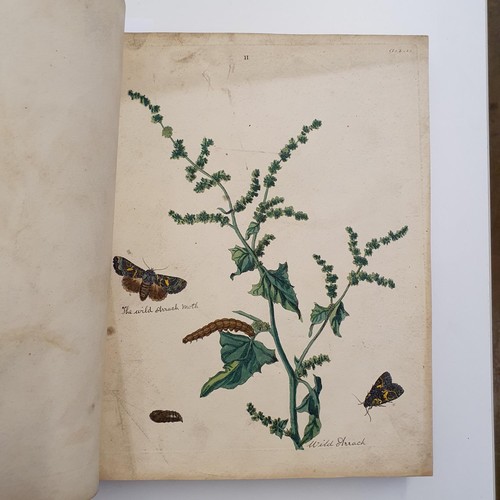 607 - Wilkes (Benjamin), English Moths And Butterflies, 120 coloured plates, leather and cloth bound