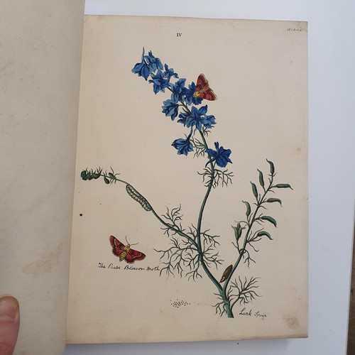 607 - Wilkes (Benjamin), English Moths And Butterflies, 120 coloured plates, leather and cloth bound