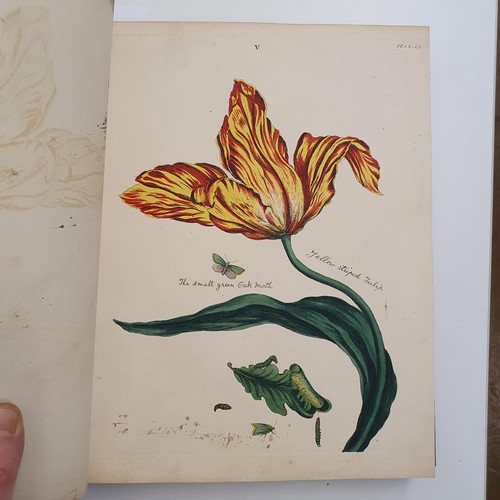 607 - Wilkes (Benjamin), English Moths And Butterflies, 120 coloured plates, leather and cloth bound