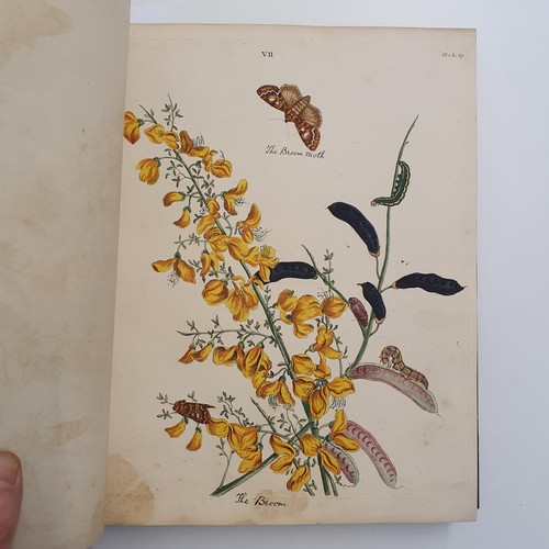 607 - Wilkes (Benjamin), English Moths And Butterflies, 120 coloured plates, leather and cloth bound