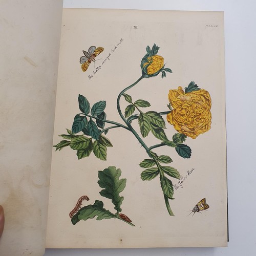 607 - Wilkes (Benjamin), English Moths And Butterflies, 120 coloured plates, leather and cloth bound