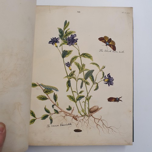 607 - Wilkes (Benjamin), English Moths And Butterflies, 120 coloured plates, leather and cloth bound