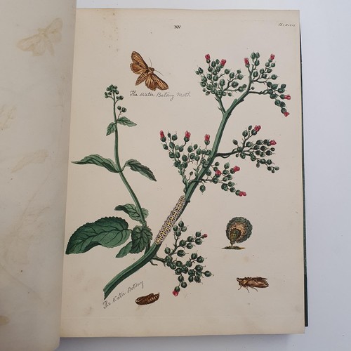 607 - Wilkes (Benjamin), English Moths And Butterflies, 120 coloured plates, leather and cloth bound