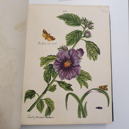 607 - Wilkes (Benjamin), English Moths And Butterflies, 120 coloured plates, leather and cloth bound