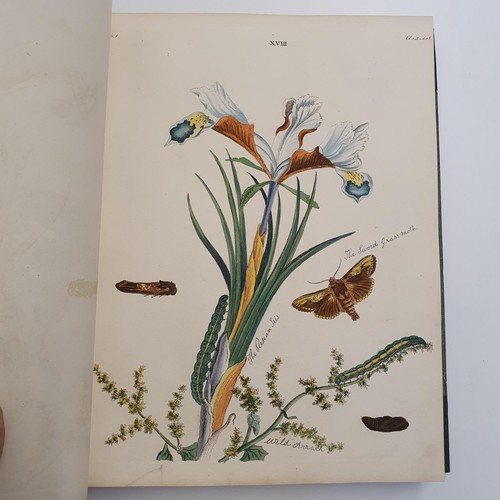 607 - Wilkes (Benjamin), English Moths And Butterflies, 120 coloured plates, leather and cloth bound