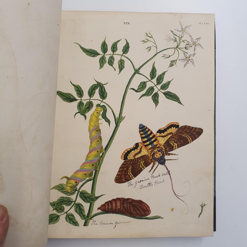 607 - Wilkes (Benjamin), English Moths And Butterflies, 120 coloured plates, leather and cloth bound