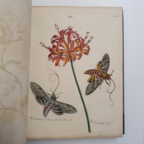 607 - Wilkes (Benjamin), English Moths And Butterflies, 120 coloured plates, leather and cloth bound