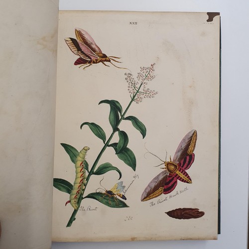 607 - Wilkes (Benjamin), English Moths And Butterflies, 120 coloured plates, leather and cloth bound