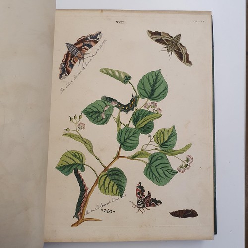 607 - Wilkes (Benjamin), English Moths And Butterflies, 120 coloured plates, leather and cloth bound