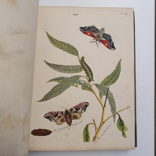 607 - Wilkes (Benjamin), English Moths And Butterflies, 120 coloured plates, leather and cloth bound