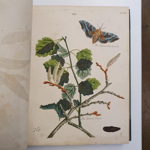 607 - Wilkes (Benjamin), English Moths And Butterflies, 120 coloured plates, leather and cloth bound