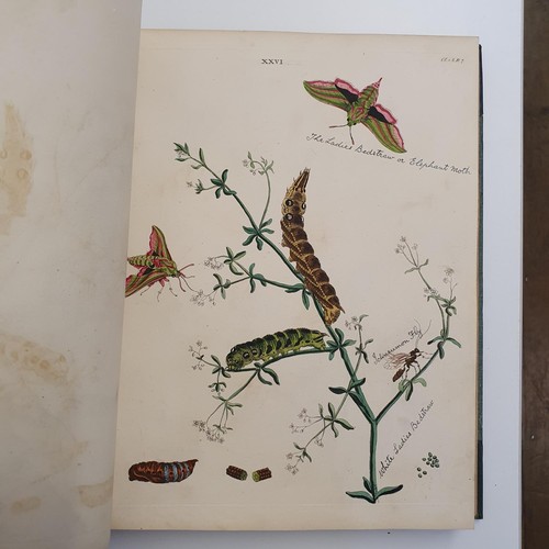 607 - Wilkes (Benjamin), English Moths And Butterflies, 120 coloured plates, leather and cloth bound