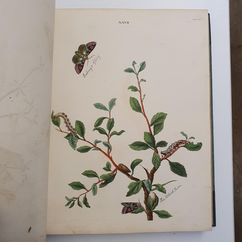 607 - Wilkes (Benjamin), English Moths And Butterflies, 120 coloured plates, leather and cloth bound