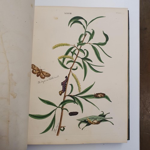 607 - Wilkes (Benjamin), English Moths And Butterflies, 120 coloured plates, leather and cloth bound