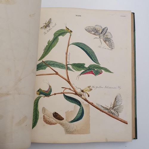 607 - Wilkes (Benjamin), English Moths And Butterflies, 120 coloured plates, leather and cloth bound