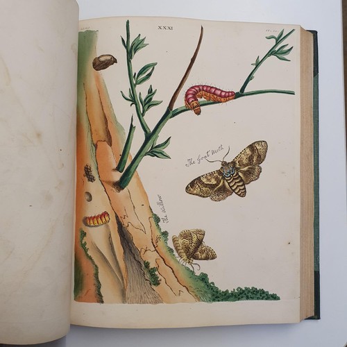 607 - Wilkes (Benjamin), English Moths And Butterflies, 120 coloured plates, leather and cloth bound