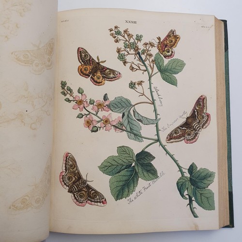 607 - Wilkes (Benjamin), English Moths And Butterflies, 120 coloured plates, leather and cloth bound