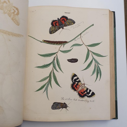 607 - Wilkes (Benjamin), English Moths And Butterflies, 120 coloured plates, leather and cloth bound