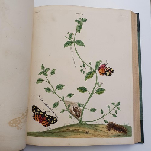 607 - Wilkes (Benjamin), English Moths And Butterflies, 120 coloured plates, leather and cloth bound