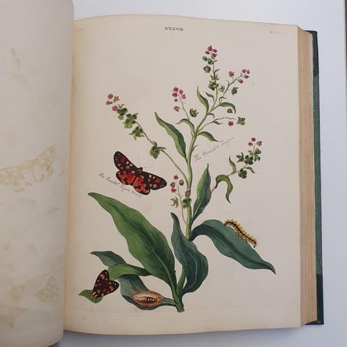 607 - Wilkes (Benjamin), English Moths And Butterflies, 120 coloured plates, leather and cloth bound