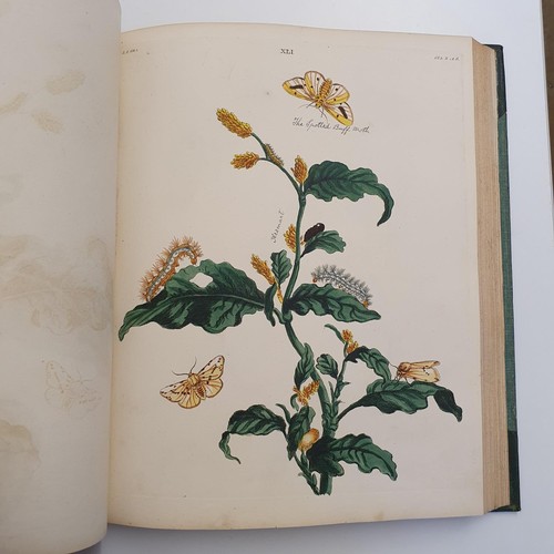 607 - Wilkes (Benjamin), English Moths And Butterflies, 120 coloured plates, leather and cloth bound