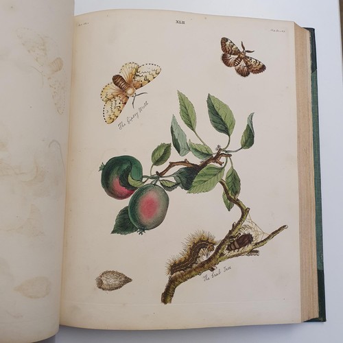 607 - Wilkes (Benjamin), English Moths And Butterflies, 120 coloured plates, leather and cloth bound